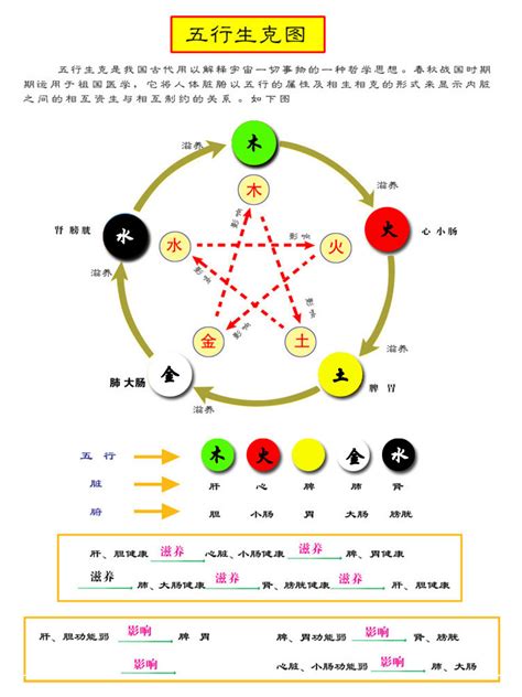 白色是什么五行|易经中的五行对应颜色